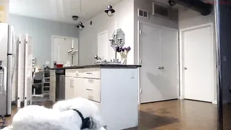 wynterheat classed passion caresses shaved cunt