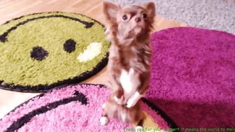 bubblekush7 chaturbate January 2020