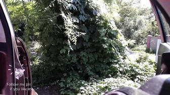 bondgirl013 Decent kral