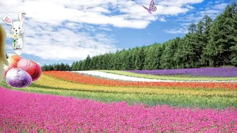 cutielilly24 naked bitch