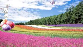 cutielilly24 naked bitch