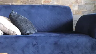 alanna_gomez naughty pussy jerks off juicy pussy