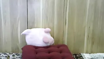 senorita_sweet chaturbate January 2020