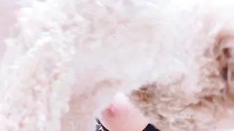 Hitomi Tanaka Delicious lady