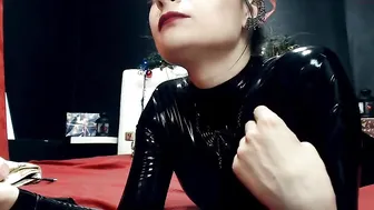 lily_monster chubby mare in honor of the holiday shows its bust