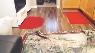 zodiacgrrrl young mischievous woman shows her boobs