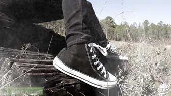 Catjira Dark-haired chick