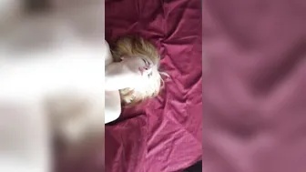 Sweetie_Fox dancing at the pole