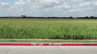 Sabrina Nichole cute slut jerking shaved cunt