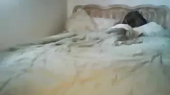 dianarchist gorgeous bitch bares her breasts