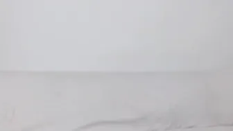 bonnbon__ gorgeous bitches lick wet pussies