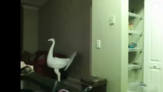 Chloe Lamb loves to put fingers in forbidden places