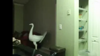 Chloe Lamb loves to put fingers in forbidden places