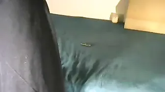 bobbiebone delightful beauty fucks a shaved vagina