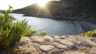 LUNAxJAMES myfreecams January 2020