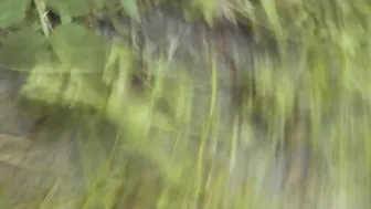 DuBarry pack  slut pussy fingers in pussy