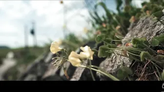 LUNAxJAMES squirting from attractive