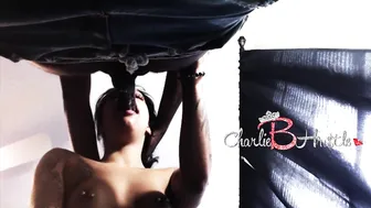 CharlieBHustle  dirty bitch is engaged in oral sex