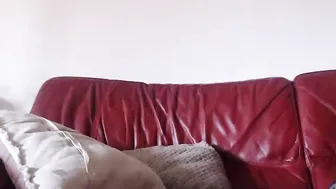 couplelyon charming chicks having fun in a pose