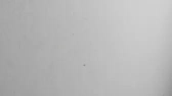 cum_friends cute bitch in erotic outfit