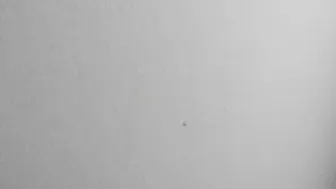 cum_friends cute bitch in erotic outfit