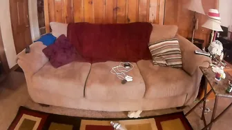 annabelle bestia sultry confused talks in fries