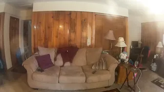 annabelle bestia Amazing blonde