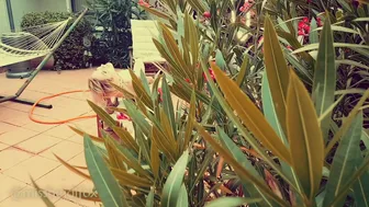 heidifox  crazy passion masturbates both holes