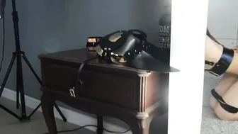 lukianiuk Showy chick