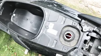 lolly_lips courtesan takes off her tights, showing charms