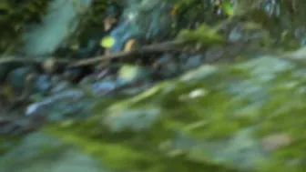 Teacher of Magic to the cute chick rubs her clit