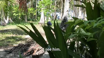 lolly_lips little runet