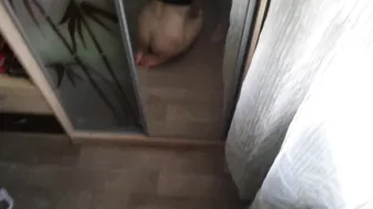 butterfly_on_dick myfreecams January 2020