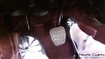 dakotacharmsxxx Busty skin