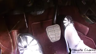 dakotacharmsxxx Busty skin