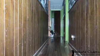 dakotacharmsxxx sex teacher