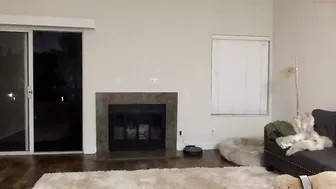 jaded_jadexo cute baby fucks herself with black dildo fingers