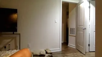 jaded_jadexo impressive passion passionately banged in the anus