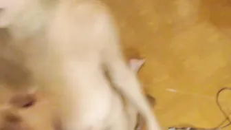 chuky_dream involving masturbation