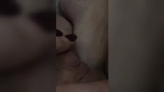 diversestacey busty kitty sucking penis