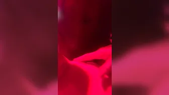 diversestacey sexy bitches