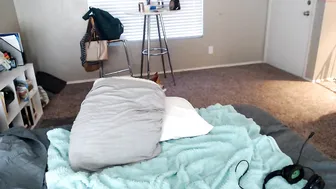 lexireign online show January 2020