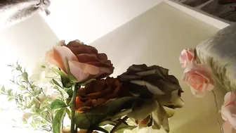 myassistant blonde slut caresses shaved cunt