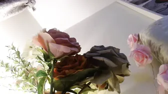 myassistant blonde slut caresses shaved cunt