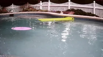 kingsbunny 8 January 2020