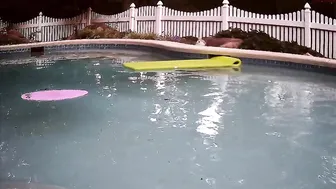 kingsbunny 8 January 2020