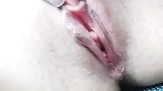 multi_gold Long haired bitch