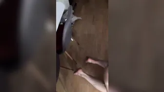 OnlyFans.com Evil Woman whore chick sucks penis gentleman