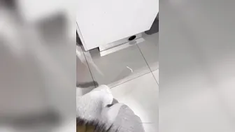 OnlyFans.com Evil Woman The Wonderful Four