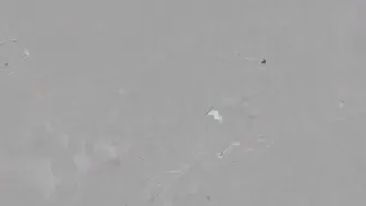 Lara Loxley hot brunette posing in stockings